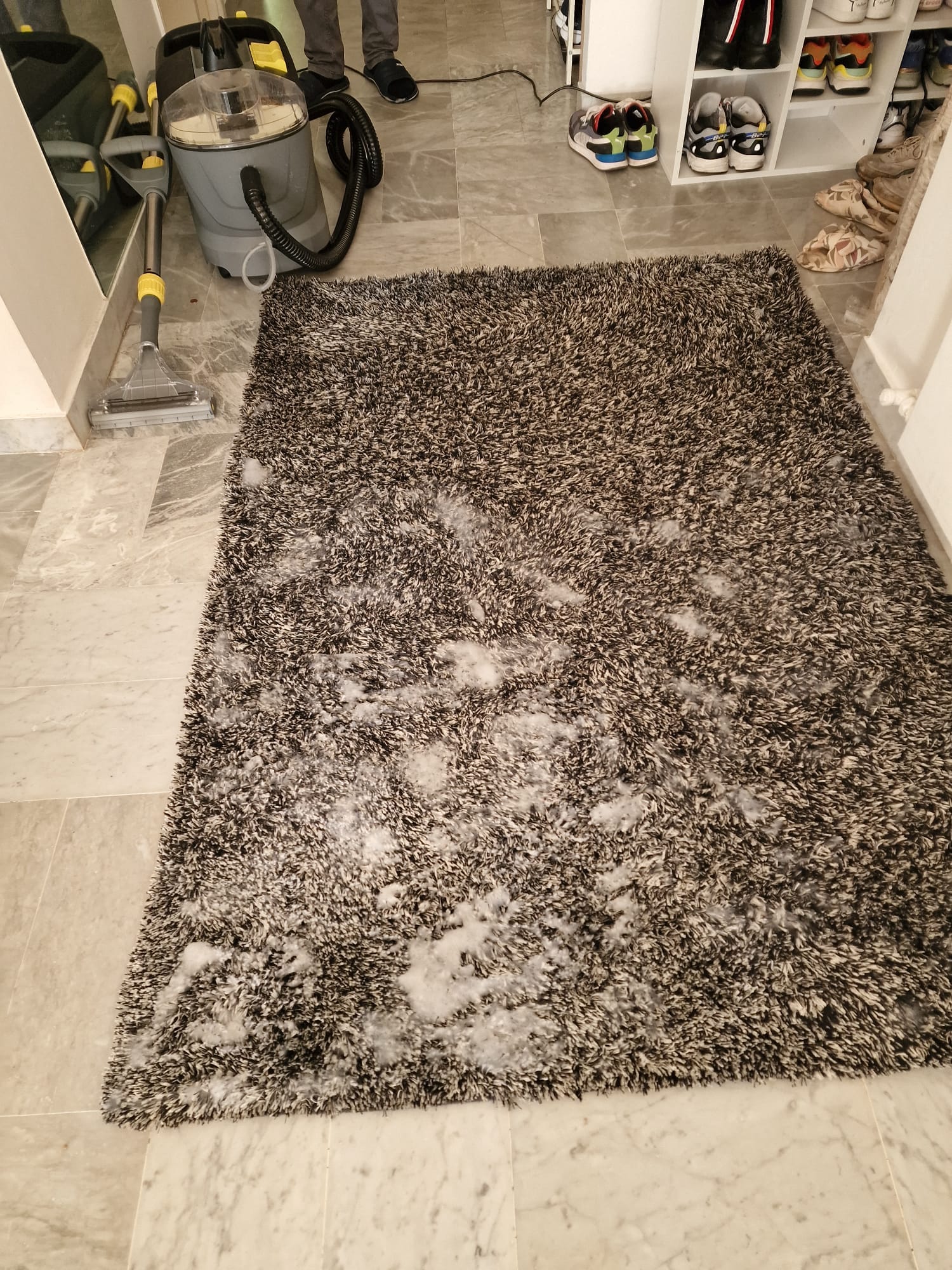 WhatsApp Image 2023-07-06 at 19.53.54